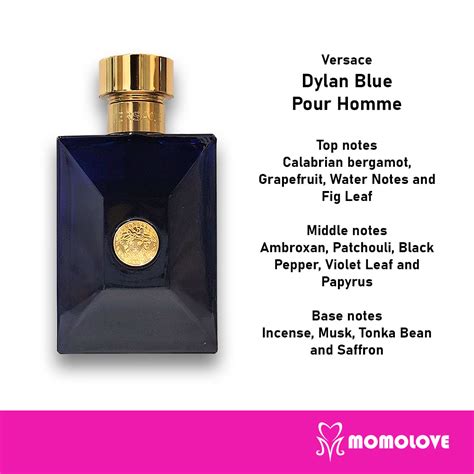 versace dylan blue top notes|versace dylan blue reviews.